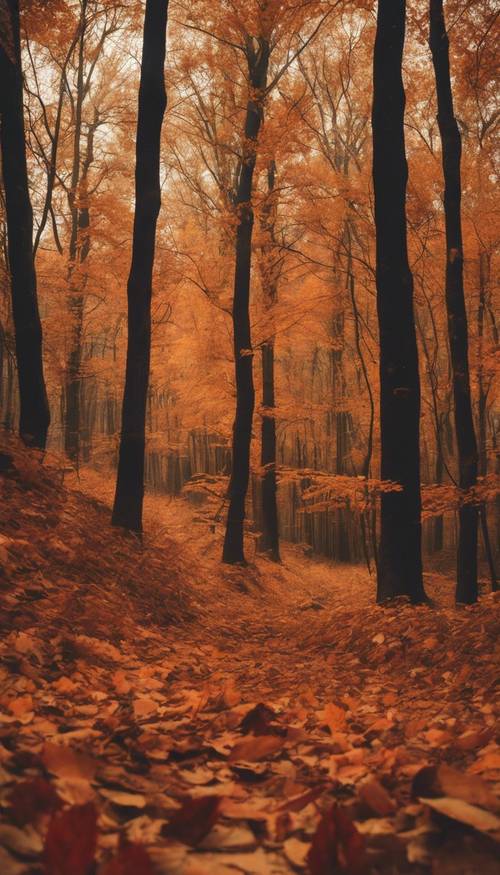 Pemandangan musim gugur menampilkan hutan lebat dengan dedaunan bernuansa oranye, merah, dan emas.