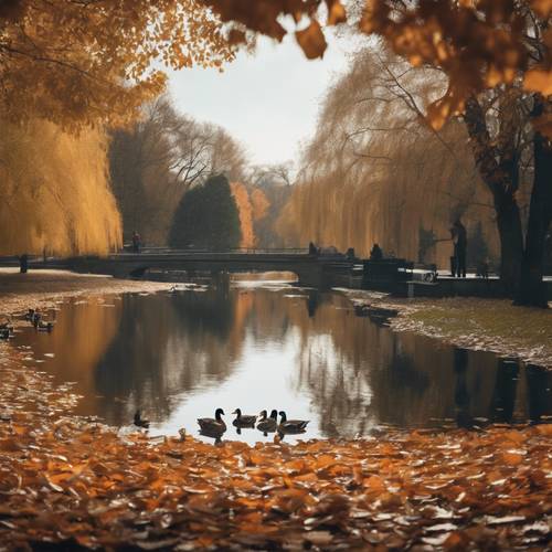 A city park overlooking a pond, filled with ducks swimming amongst the fallen leaves.