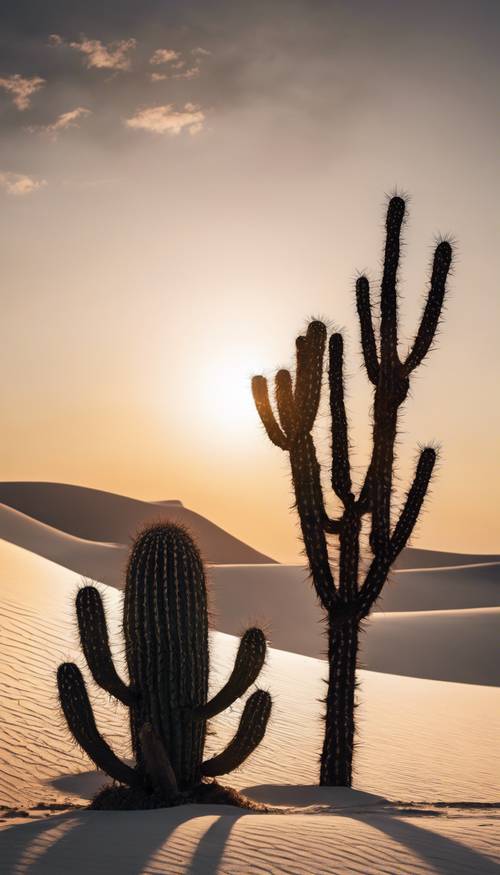 Um cacto preto solitário em meio a areias brancas sob um pôr do sol hipnotizante.