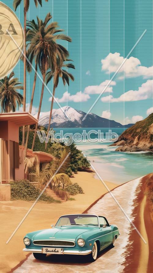 Tropical Beach and Snowy Mountain View