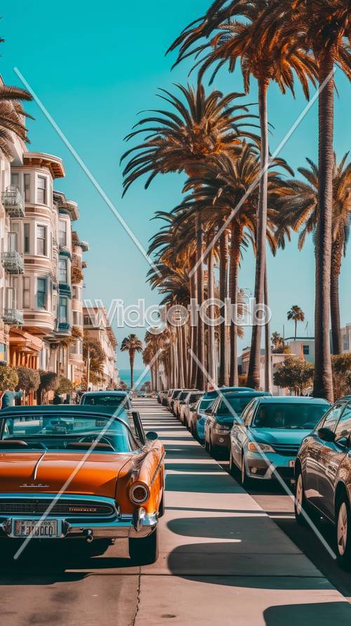Calle bordeada de palmeras con coche clásico
