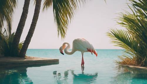 Seekor flamingo putih tidur nyenyak di bawah naungan pohon palem di samping laut biru kehijauan.