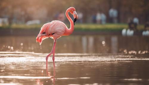 Um retrato artístico de um flamingo dançando graciosamente ao sol do meio-dia.
