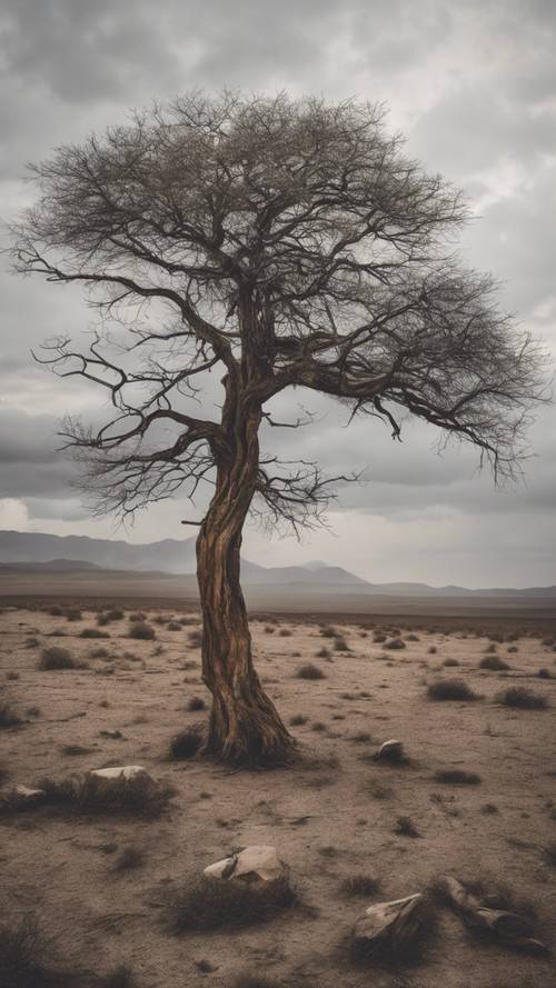 A solitary, aged tree in the middle of a barren landscape with overcast skies.