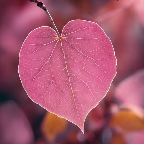 Digital image of a detailed botanical study of an Aspen leaf in unconventional pink hues.