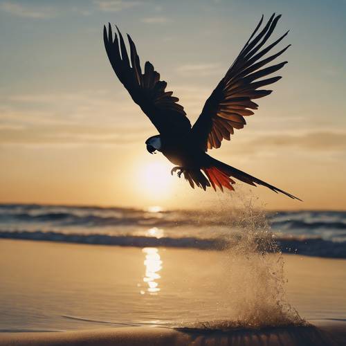 夕陽下，一隻鸚鵡飛過蔚藍的海灘，勾勒出美麗的剪影。