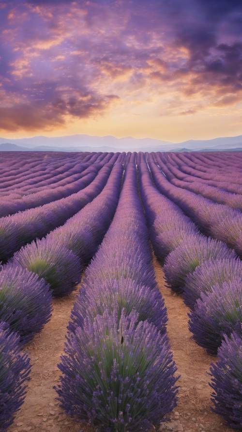 A canvas painting of lavender fields under an evening Provence sky.