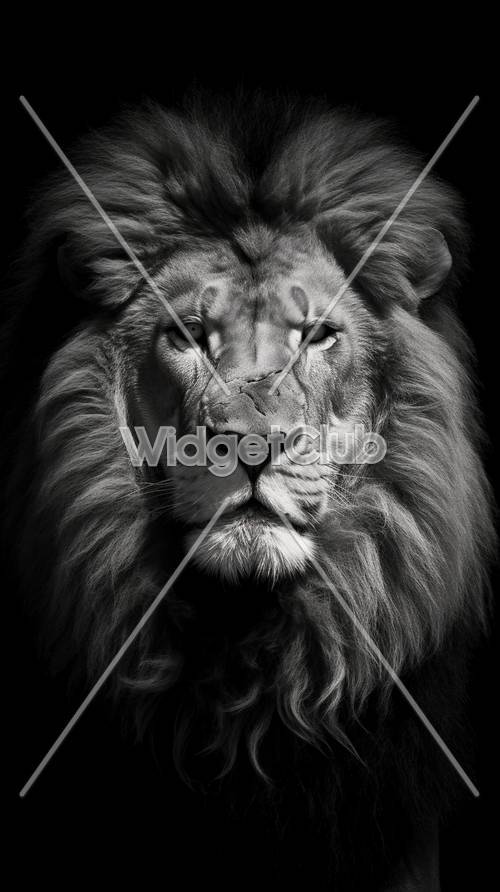 Majestatyczny portret lwa w czerni i bieli