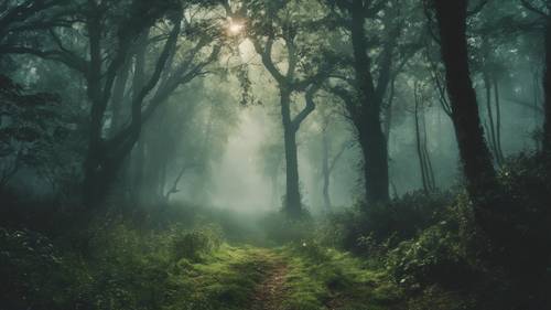 새벽녘 안개 낀 짙은 녹색 숲.