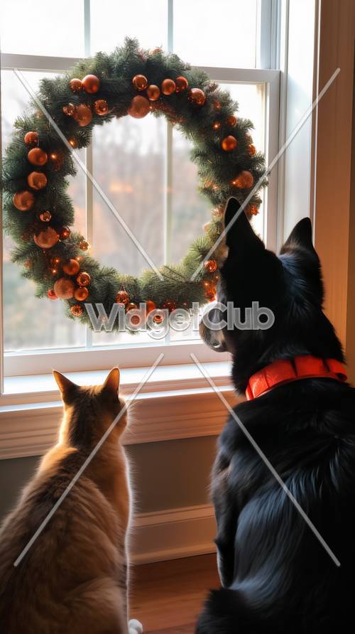 Animais de estimação festivos observando o inverno pela janela