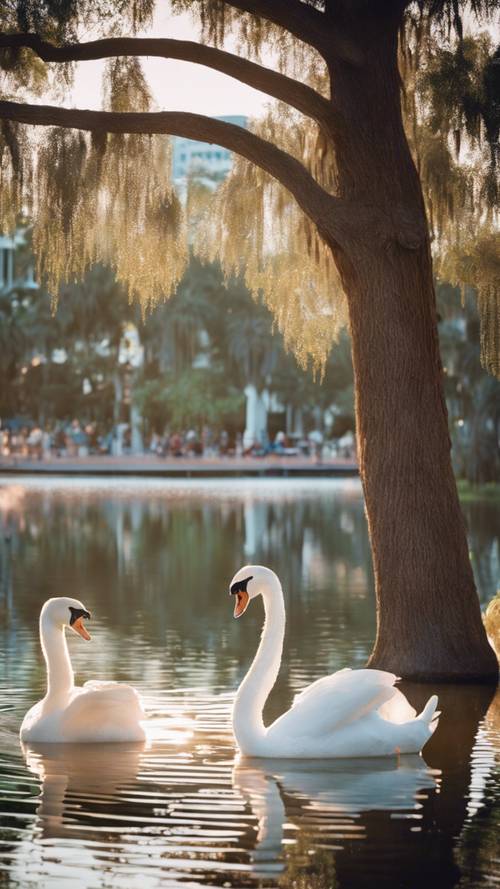 A tranquil morning tableau of Lake Eola Park in downtown Orlando, Florida, with swan-shaped paddle boats on the calm water.