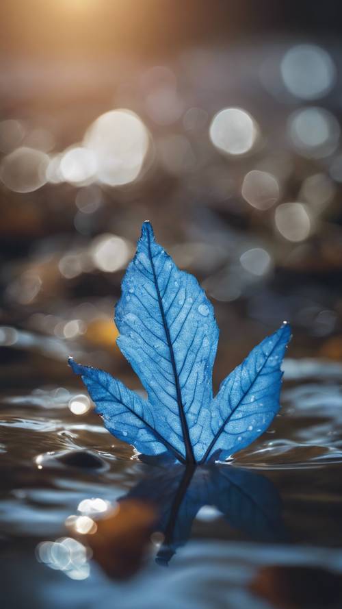 A vibrant blue leaf floating in a tranquil stream under the warm sunlight.
