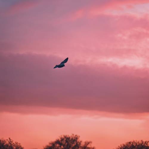 Un uccello solitario che vola attraverso il cielo pieno di sfumature rosa e arancioni durante l&#39;alba.