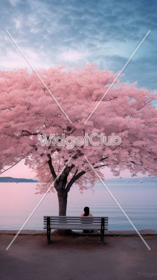 湖邊的粉紅色櫻花樹