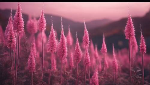 An alien landscape with tall, slender pink plants with glowing tips