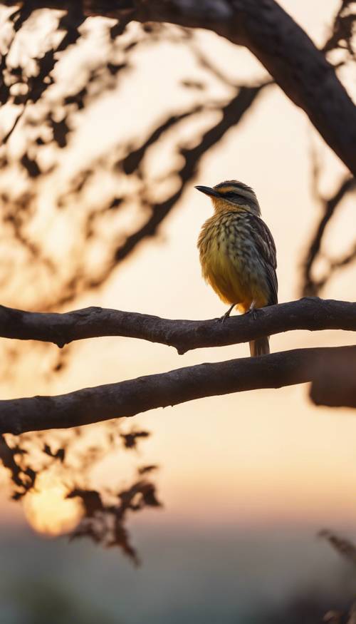 طائر يجلس على غصن شجرة، ويستحم في وهج الشمس الأصفر الفاتح.