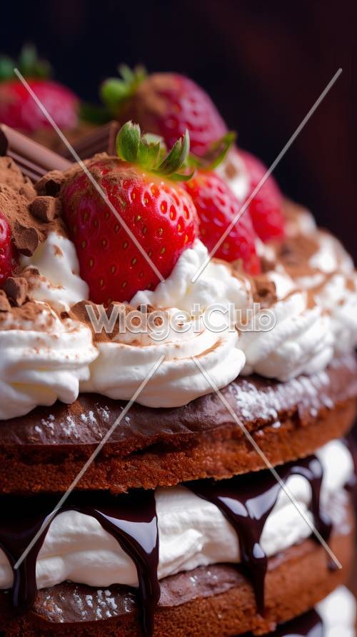 美味的巧克力蛋糕配上草莓和鮮奶油