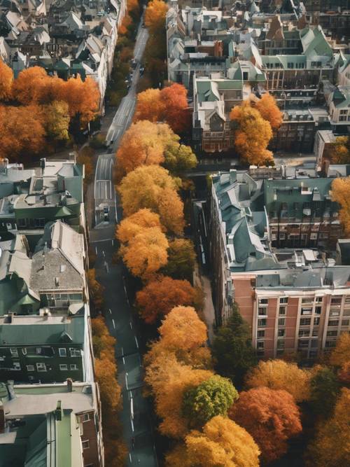 A bird's eye view of a cityscape transitioning from summer green to autumn hues.