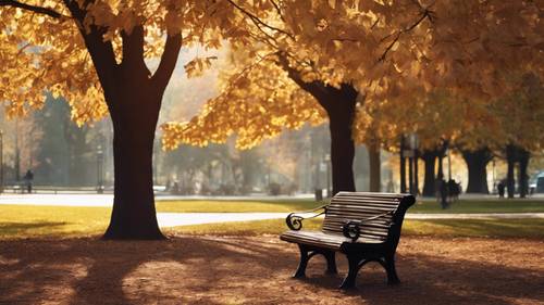 Eine Parkbank im Schatten eines Baumes im Herbst, ein Studienzitat wird durch den Schatten der Blätter geformt.