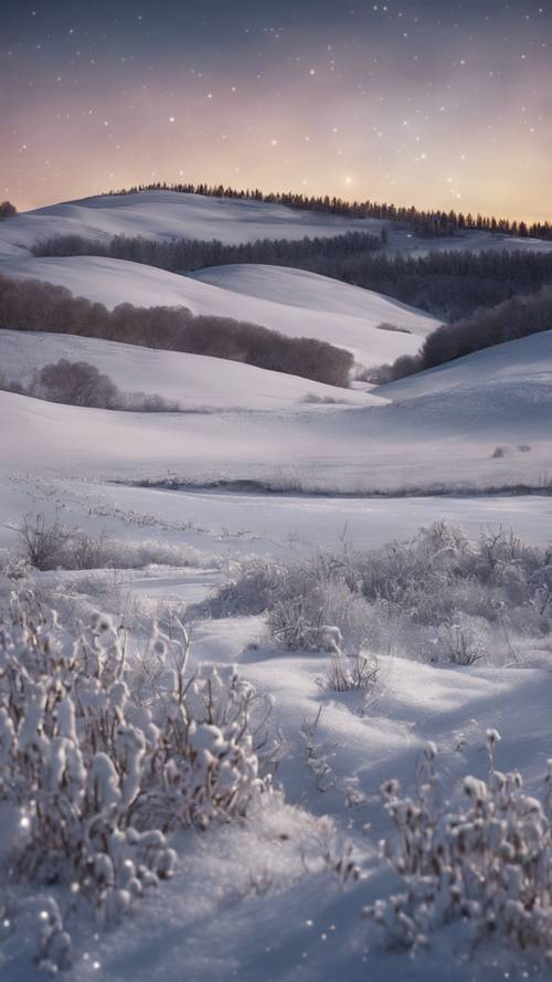 Một đồng cỏ phủ đầy tuyết dưới bầu trời mùa đông đầy sao, khung cảnh yên bình và tĩnh lặng.