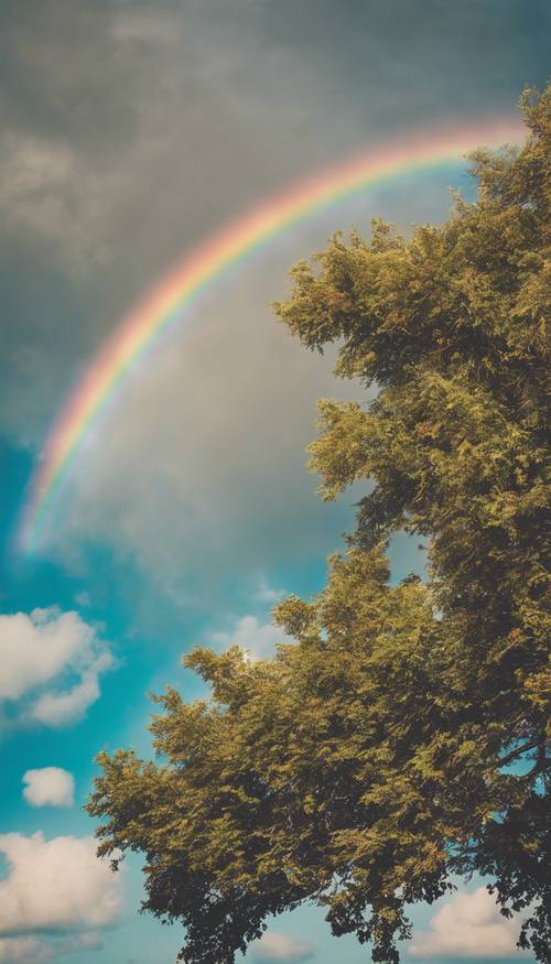 Um arco-íris vibrante no céu claro logo após uma chuva de verão