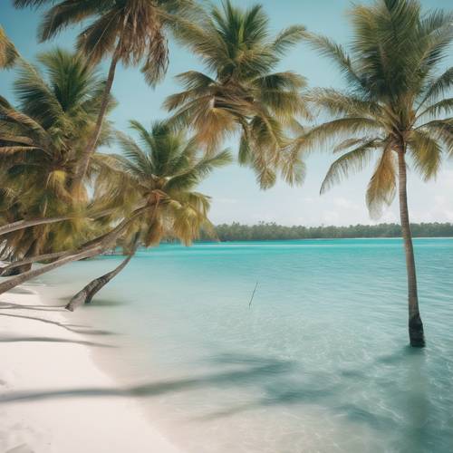A picturesque row of palm trees lining a white sandy beach with clear aquamarine water gently lapping the shore.