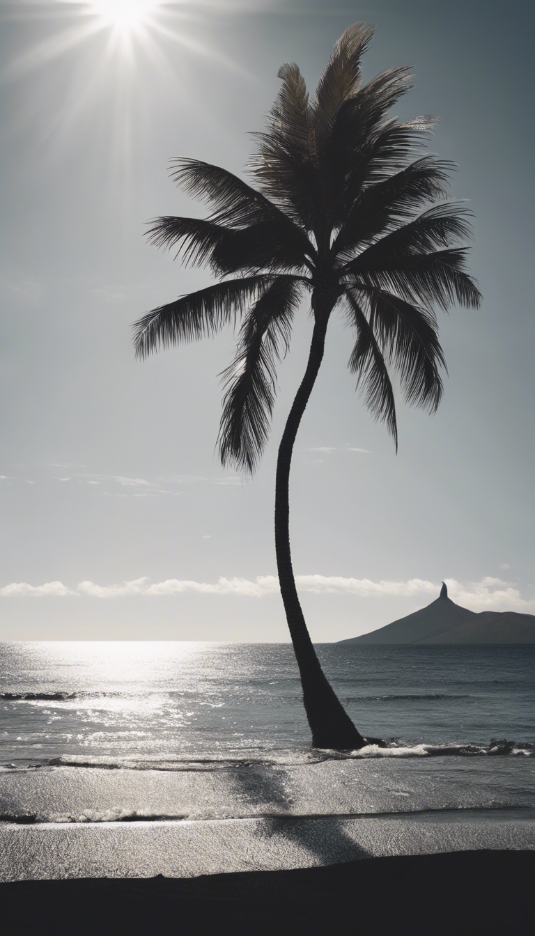 Minimalistic image of a single palm tree casting a long shadow on a black volcanic beach. Wallpaper[04c70ccbb85c403a8d7f]