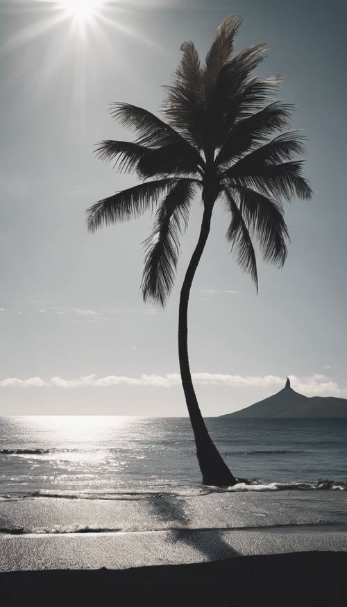 Gambar minimalis dari sebatang pohon palem yang memberikan bayangan panjang di pantai vulkanik hitam.