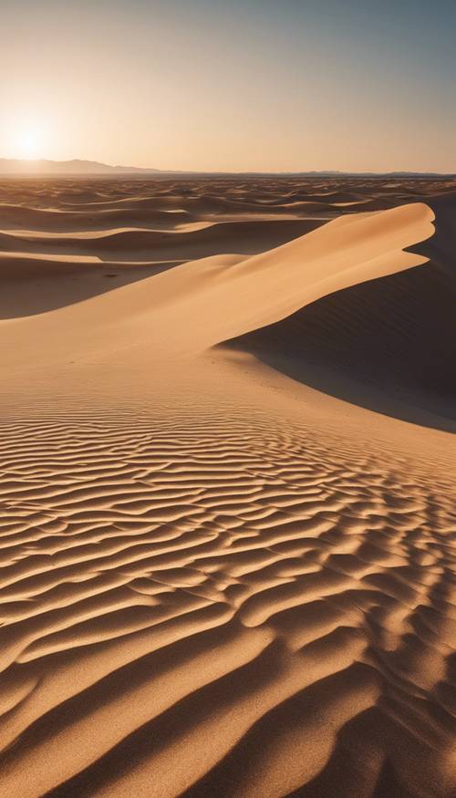 A wide, panoramic view of the desert at sunset, with the sinking sun casting long shadows across the wave-like sand dunes.