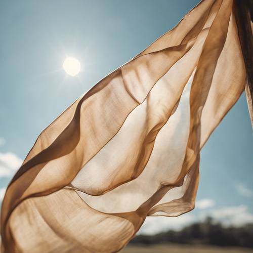 在陽光明媚的日子裡，棕褐色絲巾在風中飄揚，畫面豐富。