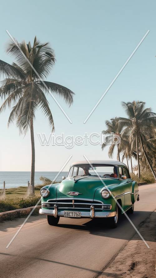 מכונית קלאסית ועצי דקל ליד האוקיינוס