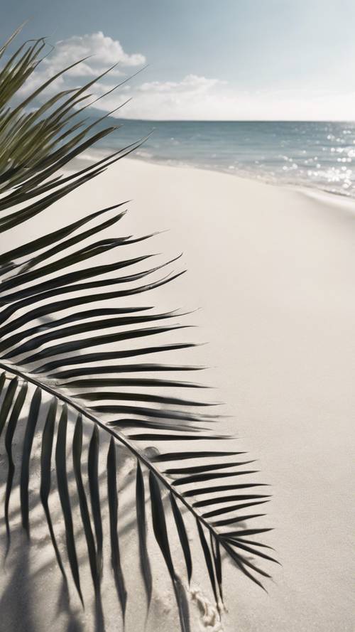 A large palm leaf casting a patterned shadow on a white sand beach.