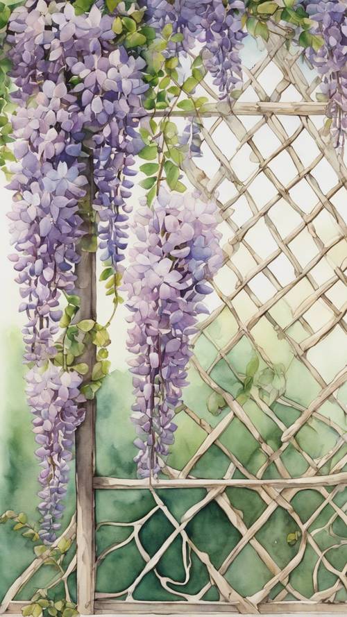 A beautifully intricate and scientific watercolor painting of a blooming wisteria vine draped over a vintage trellis.
