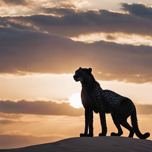 Fotografía de la silueta de un majestuoso guepardo negro, posado en la cresta de una duna, contra un sol poniente