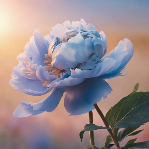 Gambar pastel lembut bunga peoni biru dengan kelopak bunga terbuka, menghadap matahari terbit yang hangat dan cerah.
