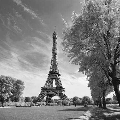 Ein Schwarz-Weiß-Gemälde des Eiffelturms im Sommer im impressionistischen Stil.