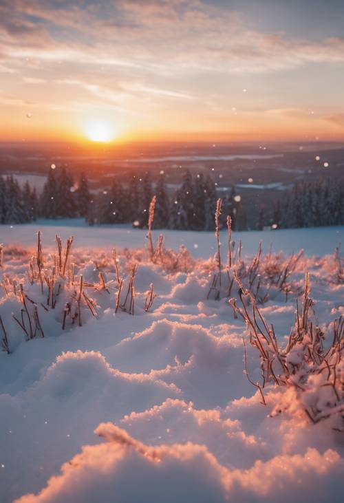 A fiery sunrise peering over an endless, snow covered landscape.