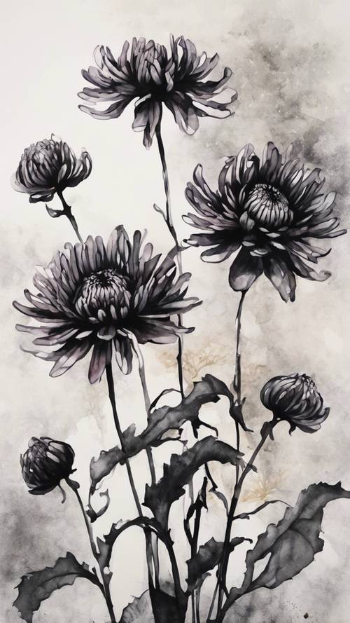 一幅盛開的黑菊花的水墨畫。