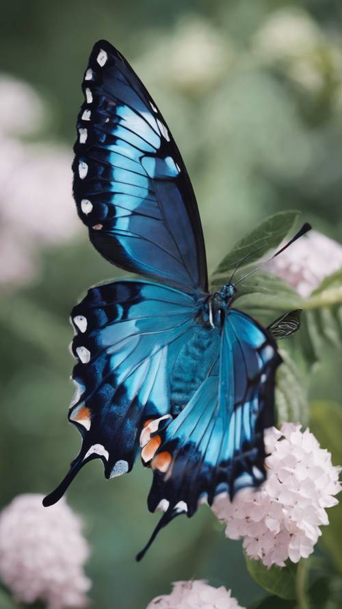 A beautifully detailed close-up of a Ulysses butterfly, showcasing the striking blue color and patterns of its wings.