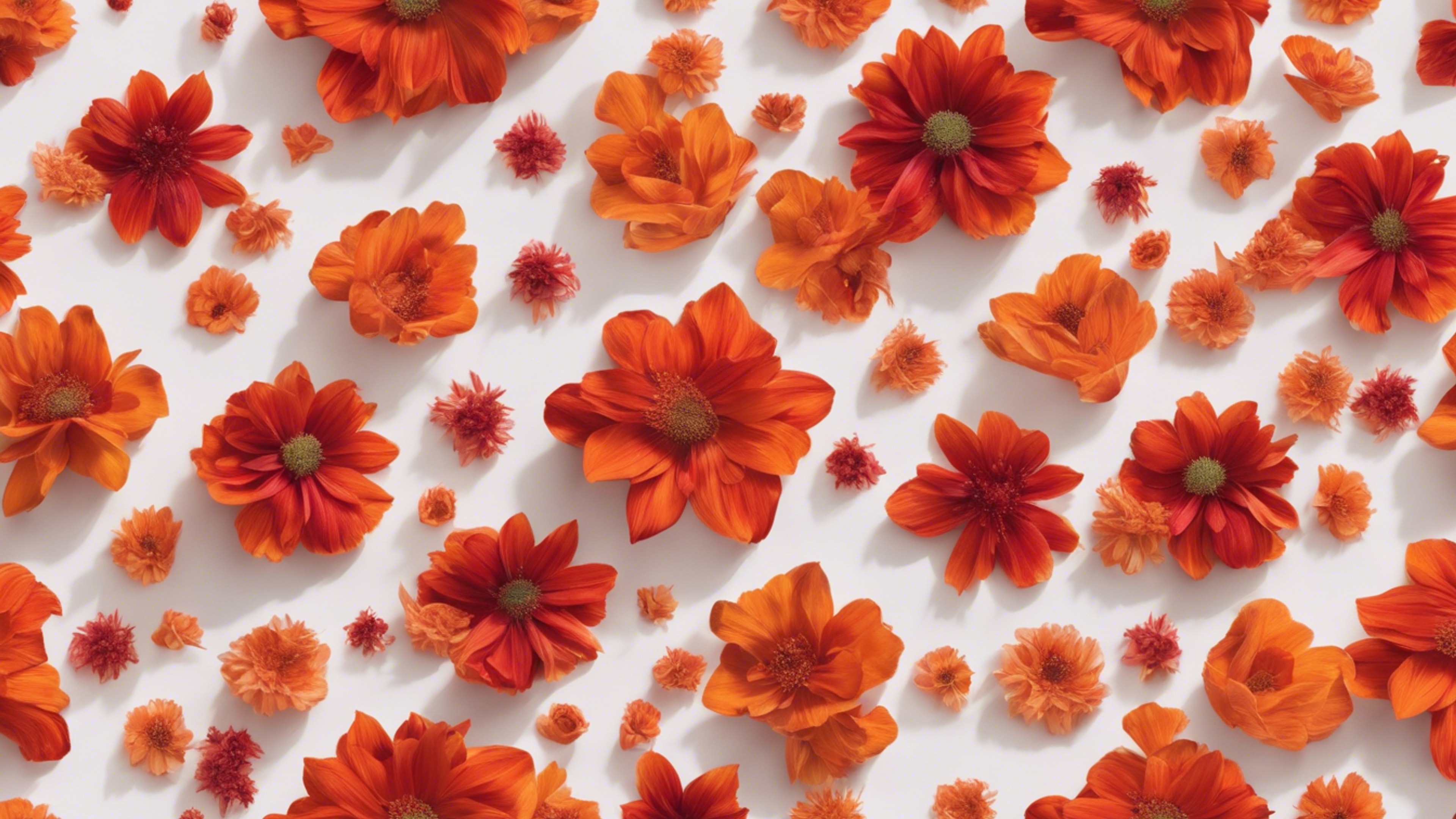 Vibrantly swirling patterns of red and orange flowers that consist of delicate petals and leaves in a seamless layout. Tapetai[1a3317c1e5234fee8b43]