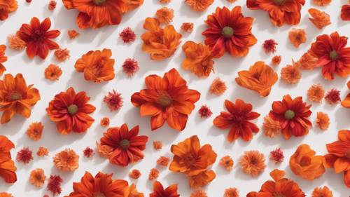 Motivi vibranti e vorticosi di fiori rossi e arancioni costituiti da delicati petali e foglie in una disposizione senza soluzione di continuità.