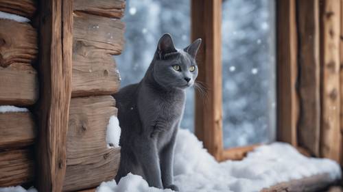 ภาพร่างของแมวพันธุ์รัสเซียนบลูที่มีดวงตาลึกซึ้งและครุ่นคิด มองออกไปนอกหน้าต่างที่เต็มไปด้วยหิมะในกระท่อมไม้ซุง