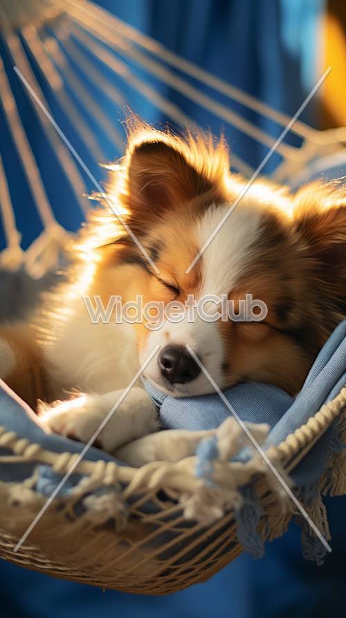 ハンモックで眠る子犬