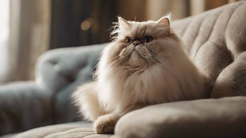 A cantankerous old Persian cat perched on the back of a plush sofa, eyeing a goldfish in a bowl.