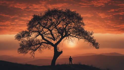 A lone tree silhouetted against a fiery sunset on top of a hill.