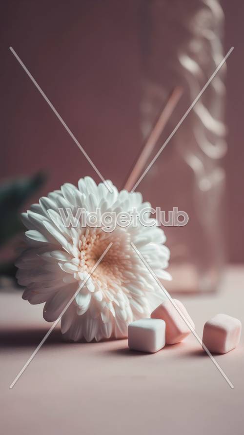 Soothing Pink Flower and Soft Light Tapet [3fa10bed496849bf9f3a]