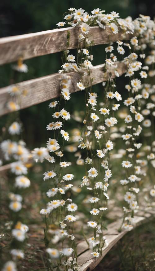 Delicate daisy chains handmade and draped over a rustic garden bench.