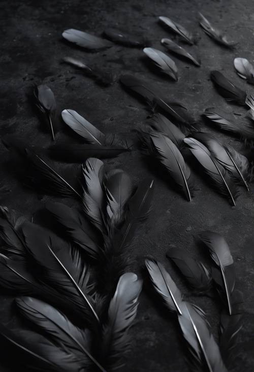Tiefschwarze Federn, verstreut auf einem dunklen Steinboden.