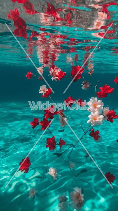 פרחים צפים במים כחולים צלולים