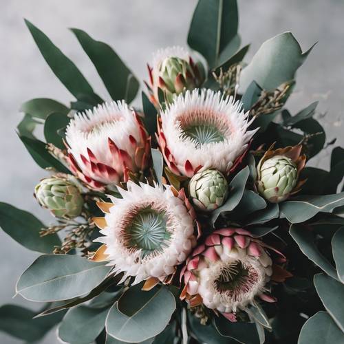 Un bouquet da sposa composto da fiori di protea e foglie di eucalipto. Sfondo [bd4291311f01466aa7b9]